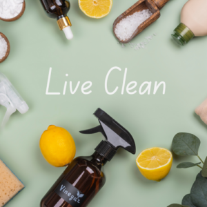 non toxic cleaning products